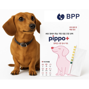 삐뽀(pippo) 전용앱으 정확한 분석 스마트AI 반려견 소변검사키트(2회분)