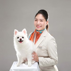 대전둔산동 애견증명사진(4r)5만원/예약:2만원.
