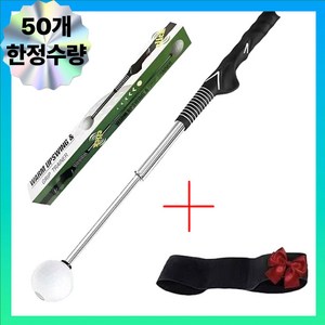 루엔 골프 스윙연습기 실내 스윙트레이너 + 치킨윙 교정 암밴드 세트