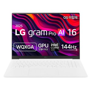 LG전자 2025 그램 프로 AI 16 코어 Ultra5