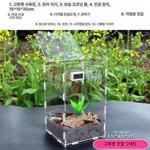 넓적배사마귀 하이밀사마귀 왕사마귀 사슴벌레 메뚜기 곤충 거미 키우기 사육상자 먹이 세트