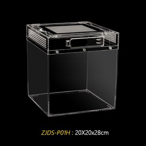 아프리카왕달팽이 달팽이키우기 백와달팽이 1 수입소재 달팽이 동양 하우스 PC01