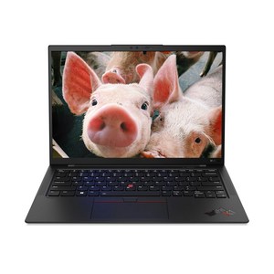 레노버 2024 씽크패드 T16 G3 코어Ultra5 인텔 14세대, 블랙, 1TB, 32GB, WIN11 Pro, 21MN00ARKD