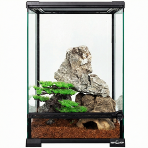 렙티주 30x30x45 최고급 테라리움장 뉴런 공식인증