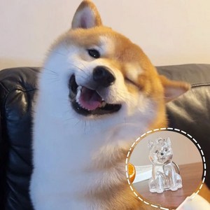 웨버몰 반려동물 털 보관 키링