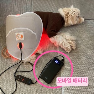 강아지 슬개골 찜질팩 근적외선 발열 적외선 애견