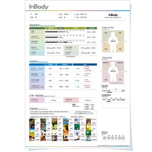인바디230 용지 결과지 종이 프린트 출력표 500매