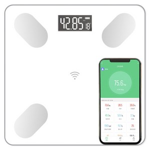 스마트 체중계 체지방 정밀 측정 가정용