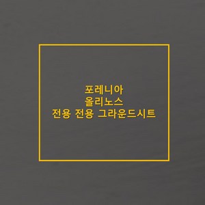 방수포 포레니아 올리노스 전용 그라운드시트 제작 타포린 풋프린트 천막 캠핑