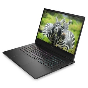 HP 2025 오멘 16 라이젠 AI 라이젠 AI 300 시리즈 지포스 RTX 5060, Shadow Black, 512GB, 64GB, WIN11 Pro, 16-ap0074AX