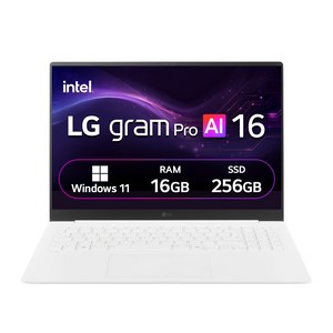 LG전자 2025 그램 Pro AI 16 WQXGA 코어Ultra5 애로우레이크