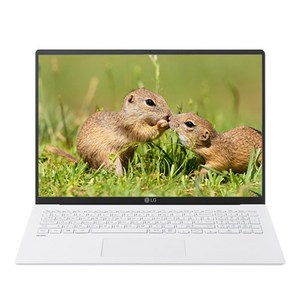 LG전자 17인치 그램 노트북 11세대 i7 16Gb 500Gb 윈도우11프로 17인치 초경량 고해상도 WQXGA IrisXe, 17Z95N, WIN11 Pro, 16GB, 500GB, 화이트