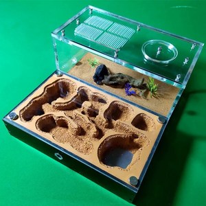 개미사육장 앤트하우스 콘크리트 개미 농장 집 슈퍼 큰 노란색 진흙 둥지 석고 애완 동물 Anthill 곤충 성 M 워크샵 사냥 지역