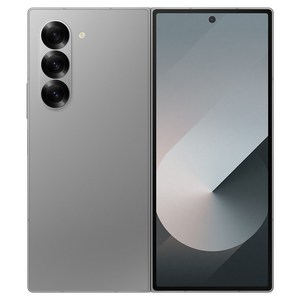 삼성전자 갤럭시 Z 폴드 6 자급제, 실버쉐도우, 512GB