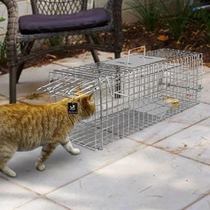 딩동펫 반려동물 유기견 길고양이 구조용 포획틀