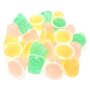 애완 달팽이 전용 아쿠아 젤리, 달팽이 키우기 수분 보충 야채 대용 먹이