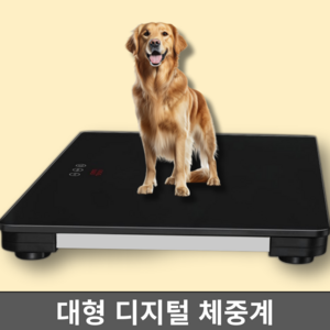 윌비독 100KG 강화유리 강아지 체중계 대형 디지털 몸무게 측정기 반려견 고정밀 정확도
