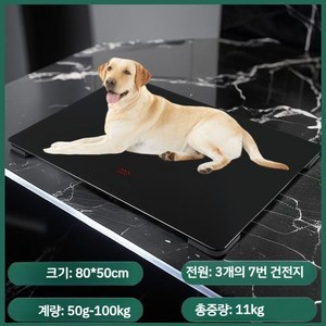 대형견 체중계 대형 애완 전자 동물 휠체어 정밀 동물병원 디지털