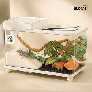 8LOME 게코 도마뱀 사육장 꾸미기 디럭스 세트 넝쿨부쉬 은신처 먹이그릇 피딩집게 세트