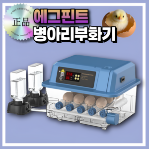 에그핀트 병아리 부화기 가정용 육추기 자동 온도 조절, 1세트, 블루