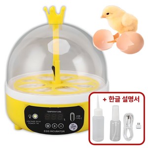 가정용 4구 계란 병아리 부화기 필요회복
