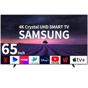 4K 울트라 UHD 스마트티비 무료설치배송, 방문설치, 벽걸이형, DU7200(24년형), 165cm(65인치)