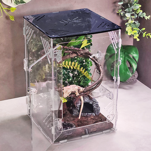 에버리움 크레스티드 게코 도마뱀 아크릴 사육장 세트 - 소형 20x20x30cm, 1세트, 미드나잇