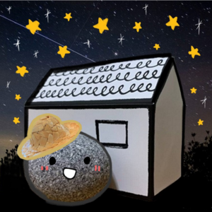 애완돌 pet rock 드림스톤 Dream stone [미우새] 반려돌 돌키우기, 1개