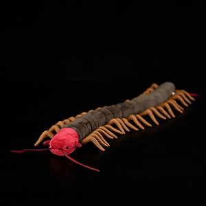 붉은 머리 왕지네 지네 절지동물 순각류 동물 58cm 봉제 인형 애착인형