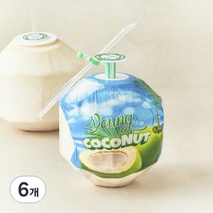 [로켓프레시] 수플린 베트남산 영코코넛