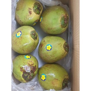 [프리미엄등급] 호아마이 베트남 그린 생코코넛 1 box