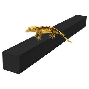 레몽크리프 도마뱀 파충류 크레스티드게코 EVA 고밀도백업 3 x 3 x 50 cm, 블랙, 1개