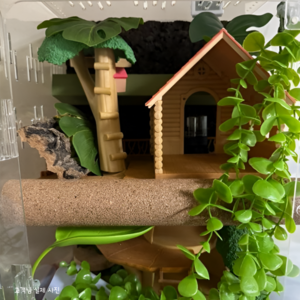 굿온유 크레스티드 게코 파충류 백업, 1개, 30cm