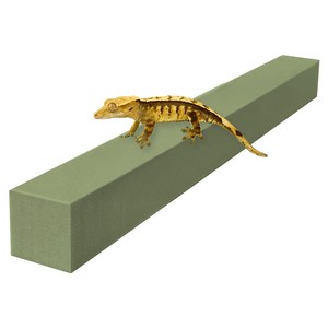 레몽크리프 도마뱀 파충류 크레스티드게코 EVA 고밀도백업 3 x 3 x 50 cm, 올리브, 1개