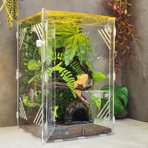 에버리움 크레스티드 게코 도마뱀 아크릴 사육장 세트 - 중형 24x24x36cm, 1세트, 썬옐로우