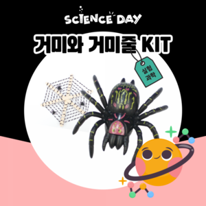 [사이언스데이] 거미와 거미줄(3학년1학기 동물의생활)