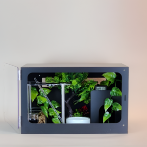 빌드몬스터 도마뱀 파충류 게코도마뱀 사육장 화이트 블랙 세트 40x30x25(cm)