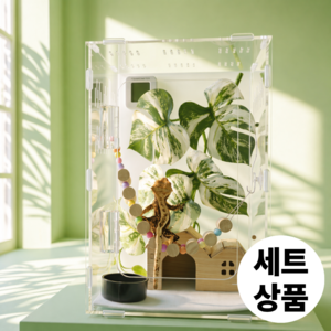 필핏 크레스티드 게코 사육장 도마뱀 파충류 은신처 세트