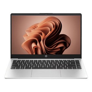 HP 2025 프로북 255R G10 15 AMD 라이젠R5 7535U 시리즈, 255R G10 BY9U2AT, WIN11 Home, 8GB, 512GB, 실버