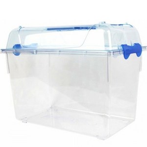 와이피 클린 곤충 채집통 XL