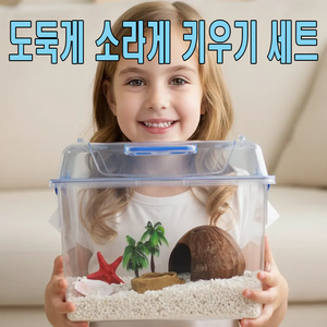 도둑게& 소라게 키우기세트 기르기 사육장 반영구적인 바닥재사용 특대 2호 세트