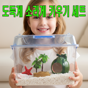 소라게 &도둑게 사육세트 반영구적인 바닥재 키우기 특대  기르기 먹이 예쁜사육장