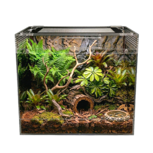 디어펫 도마뱀 사육장 안깨지는 파충류 케이지 테라리움 - S 20x20x18cm, 1개, 투명