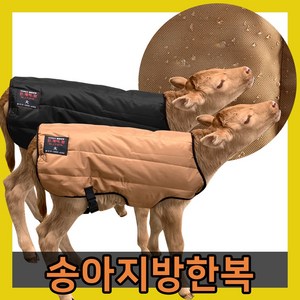 송아지 방한복 대형견 패딩 송아지 대형견 옷