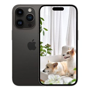 Apple 정품 아이폰 14 Pro 자급제