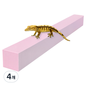 레몽크리프 도마뱀 파충류 크레스티드게코 EVA 고밀도백업 3 x 3 x 50 cm, 베이비핑크, 4개