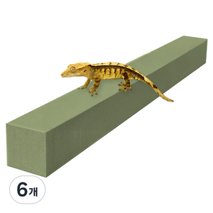 레몽크리프 도마뱀 파충류 크레스티드게코 EVA 고밀도백업 3 x 3 x 50 cm, 올리브, 6개