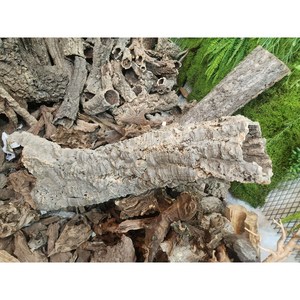 코르크튜브,천연코르크튜브 20~30cm,30~40cm,40~60cm,60~80cm,80~100cm