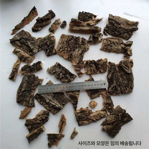 인조코르크보드 테라보드 도마뱀백스크린 게코 파충류 타란튤라 사육장 꾸미기