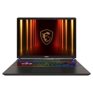 MSI 2025 벡터 16 HX AI 코어Ultra9 지포스 RTX 5070 Ti